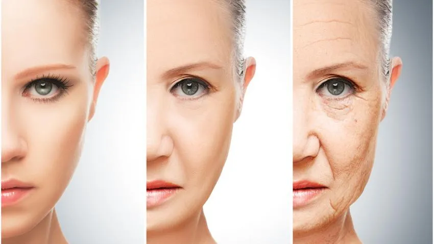 Skin Regeneration