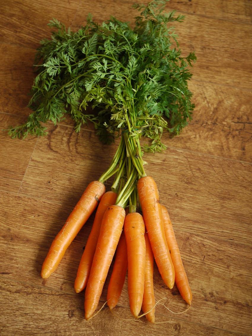 Carrot Bunch A Bunch of Carrots as a Substitute for Celery