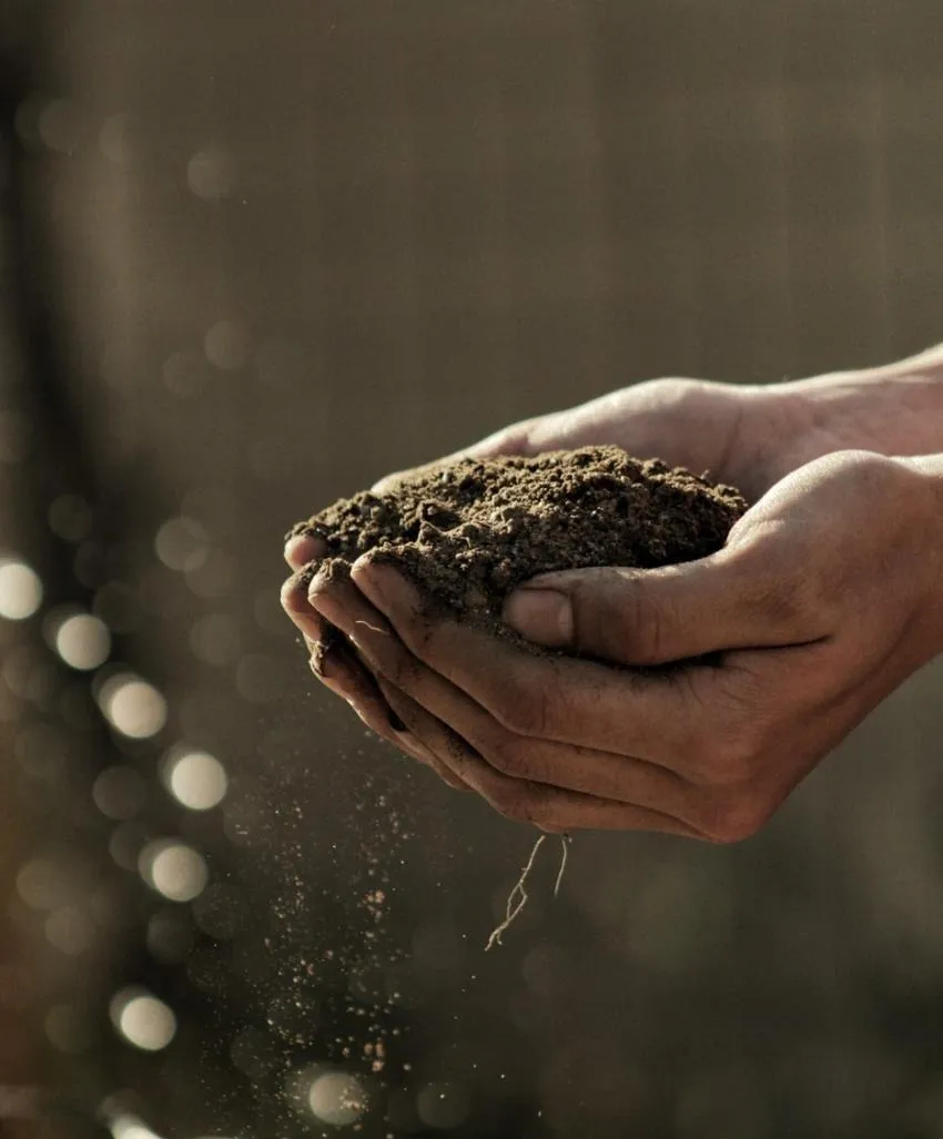 ¿Cómo es el suelo donde vives? What is the soil like where you live?