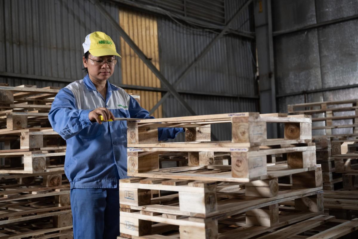 Minh Dũng Pallet – Đóng Gói & Logistics Hàng đầu Tại Vĩnh Phúc by minhdung