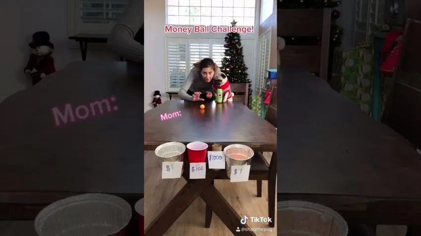 money ball challenge money ball challenge tiktok