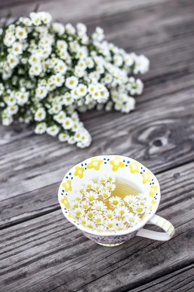 flower drink flower drink