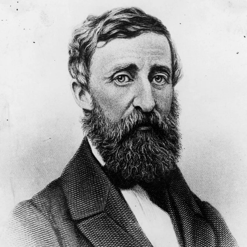 Henry David Thoreau David Thoreau's Lessons