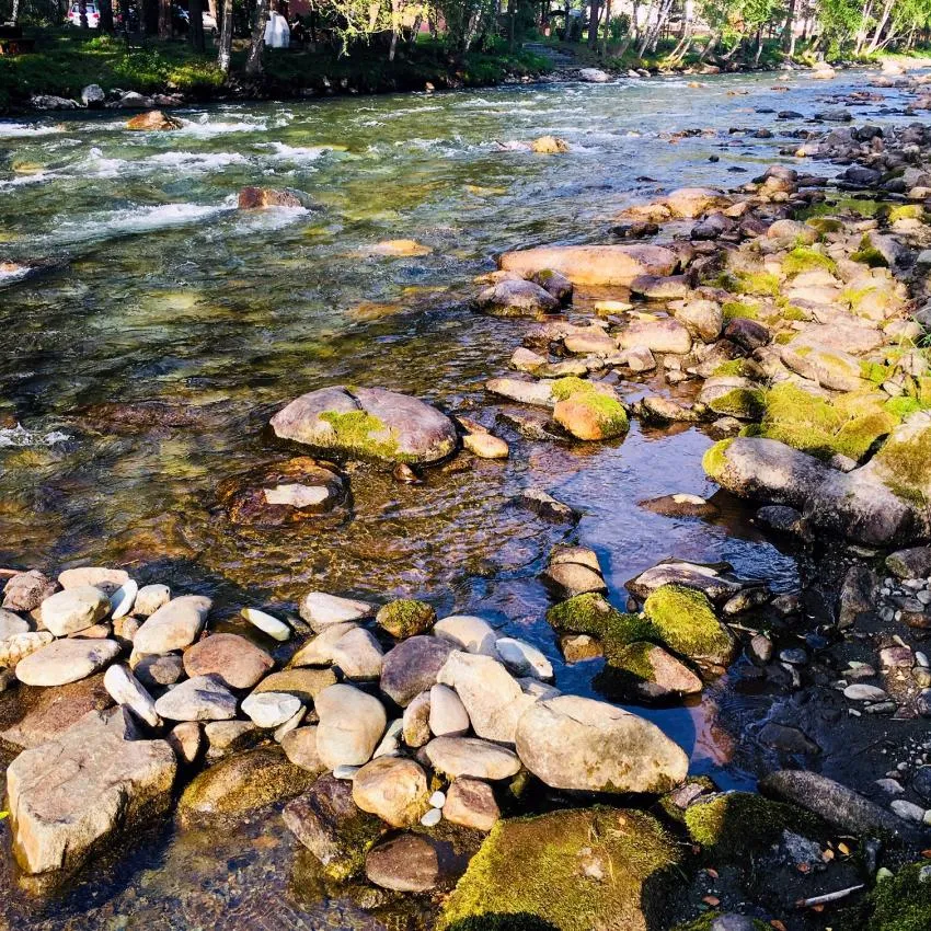 River and rocks Quiet river with rocks