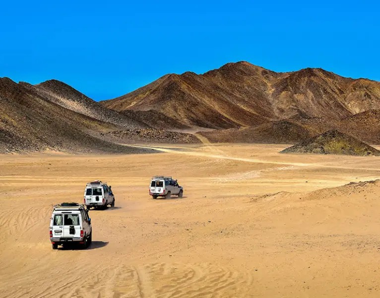 Discover The Best Time To Visit Siwa Oasis In Egypt Discover The Best Time To Visit Siwa Oasis In Egypt by The Official Site to Visit Egypt