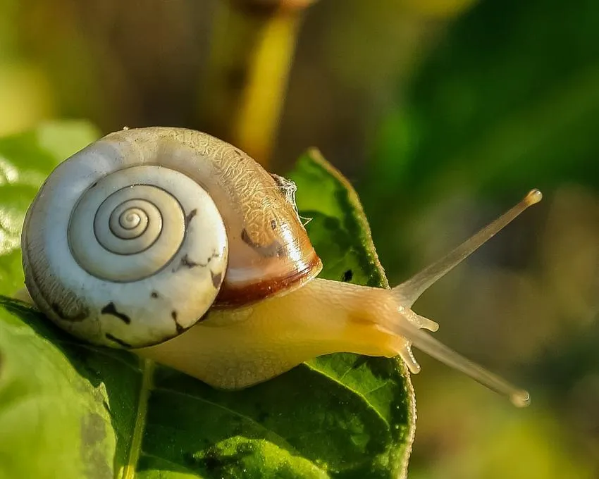 Work mindfulness practices into your life slowly