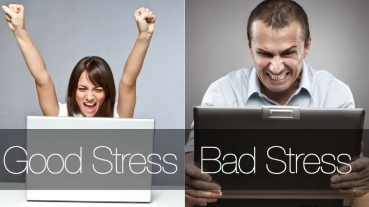 Why is a little bit of stress good