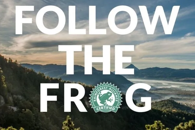 Follow the Frog rainforest Alliance Logo