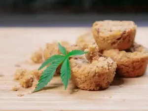 THC Edibles In Australia: Find The Best Cannabis Treats Online THC Edibles In Australia: Find The Best Cannabis Treats Online by Blem-Boyz