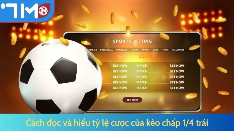Hiểu Về Kèo 1/4 Trái: Hướng Dẫn Đọc Kèo, Chơi Và Tính Tiền by 7M