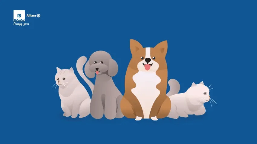 What Does Pet Insurance Cover? A Simple Guide For First-Time Pet Parents by Alex91102