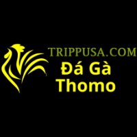 Đá Gà Trực Tiếp Thomo picture Đá Gà Trực Tiếp Thomo profile image