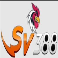 SV388 picture SV388 profile image