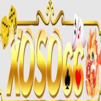 Xoso66 picture Xoso66 profile image