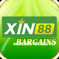 xin88 picture xin88 profile image
