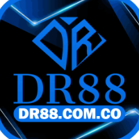 DR88 picture DR88 profile image