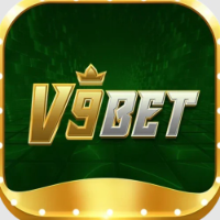 V9BET picture V9BET profile image