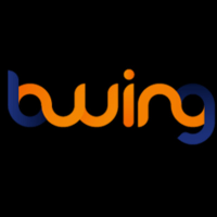 Bwing picture Bwing profile image