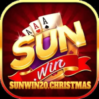 sunwin20christmas picture sunwin20christmas profile image