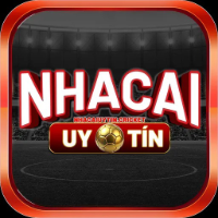 nhacaiuytincricket picture nhacaiuytincricket profile image