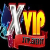 XVIP picture XVIP profile image
