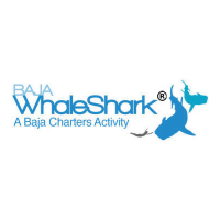 Thinker and Editor bajawhaleshark writer and magazine editor bajawhaleshark