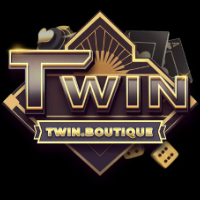 twinboutique1 picture twinboutique1 profile image