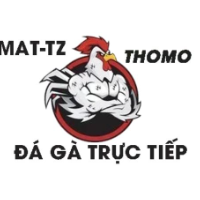 dagatructiepmat picture dagatructiepmat profile image