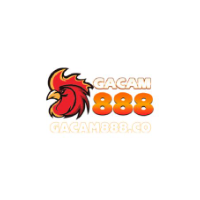 gacam888co picture gacam888co profile image