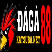 ÐÁ GÀ 88 picture ÐÁ GÀ 88 profile image
