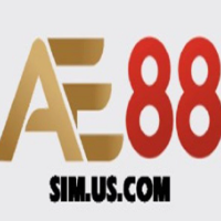 AE88 SIMUS picture AE88 SIMUS profile image