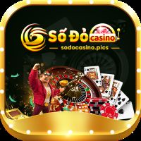 sodocasinopics picture sodocasinopics profile image