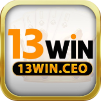 13Win picture 13Win profile image