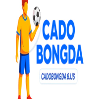 Cá độ bóng đá picture Cá độ bóng đá profile image