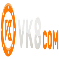 vk8top profile image