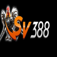 sv388date picture sv388date profile image