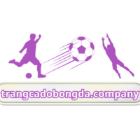 Trang Cá Độ Bóng Đá picture Trang Cá Độ Bóng Đá profile image