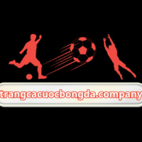 Trang Cá Cược Bóng Đá picture Trang Cá Cược Bóng Đá profile image