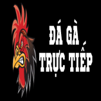 dagatructiep88tv picture dagatructiep88tv profile image