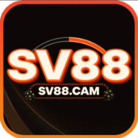 SV88cam profile image