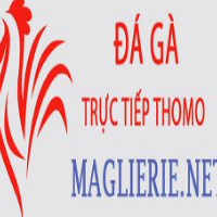 Đá Gà Trực Tiếp Thomo picture Đá Gà Trực Tiếp Thomo profile image
