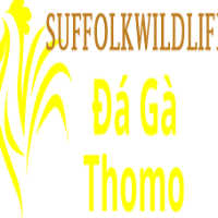 dagasuffolk picture dagasuffolk profile image