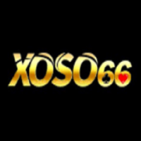 Xoso66 picture Xoso66 profile image
