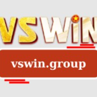 vswingroup picture vswingroup profile image