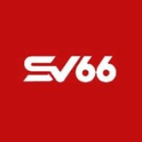 SV66 picture SV66 profile image