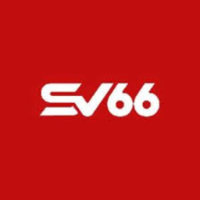 SV66marketing picture SV66marketing profile image