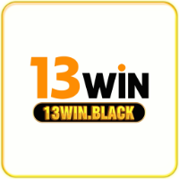 13win picture 13win profile image