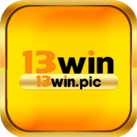 13win picture 13win profile image