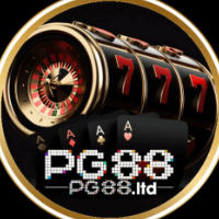 PG88ltd picture PG88ltd profile image