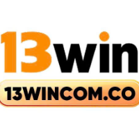 Nhà cái 13WIN profile image
